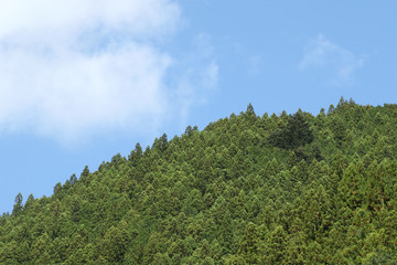 Okutama Mukashi Michi Hike - Japan