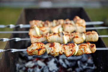 skewers kebab in hand. A man cooks meat on coals on the street