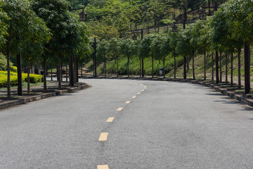 Asphalt curved horizon with trees landscape