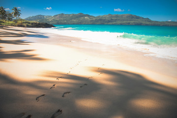 
Sea Caribbean landscape in Dominican republic with palm trees, sandy beach, green mountains, rocks, blue sky and turquoise water 