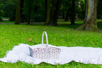 Picnic basket on green lawn. Outdoor picnic at sunny day. Vintage basket. Spring sunny concept. 8 March. Happy Mothers day.