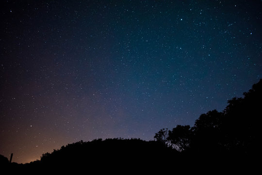 Low Angle View Of Silhouette Trees Against Star Field At Night
