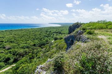 Caribbean sea bay and green jungles landscape aerial top view from mountain in Dominican Republic