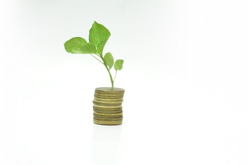Fototapeta na wymiar Stacking coins with growing plant on white background, Financial and creative concept.