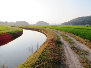 Naklejka premium 日本の田舎の風景 8月 川辺の夕景