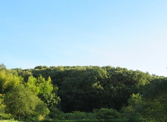 Obraz premium 日本の田舎の風景 8月 夏の山の木々と青空