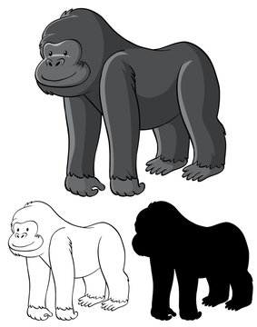 Set of gorilla cartoon
