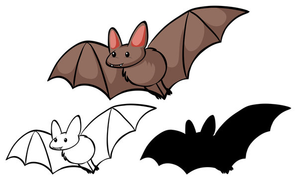 Set of bat cartoon