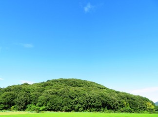 日本の田舎の風景　8月　水田の稲と山と青空
