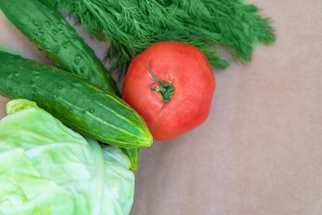 Eco-vegetables on a paper background close-up with a copy space. Tomatoes, cucumbers, dill top view. Soft focus.
