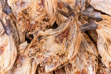 Dry fish on the market