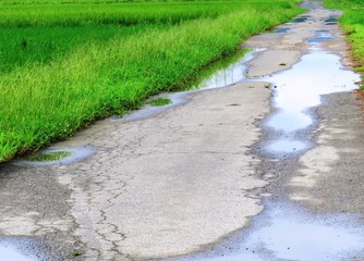 日本の田舎の風景　8月　田舎道の水たまり