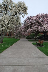 Floral Campus