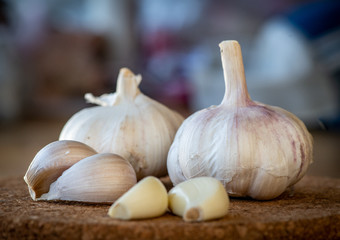 Garlic