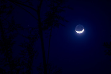 Fototapeta na wymiar Half moon over the forest
