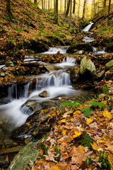 Fototapeta na wymiar Waterfall flowing through forest with autumn leaves