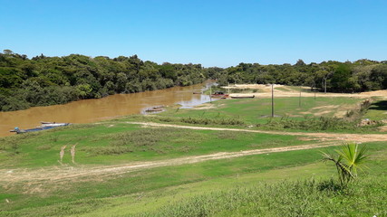 Obraz premium rural landscape with cows