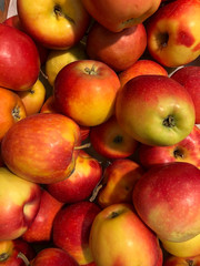 photo lots of apples on the counter supermarket