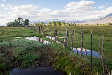 Fototapeta na wymiar wooden fencing in the countryside 