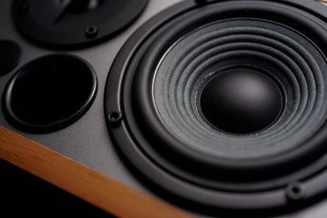 Professional wooden bookshelf speaker has the classic elegance look