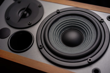 Professional wooden bookshelf speaker has the classic elegance look