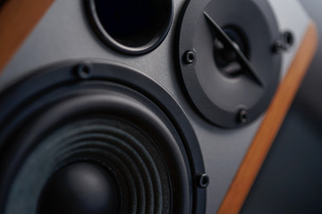 Professional wooden bookshelf speaker has the classic elegance look