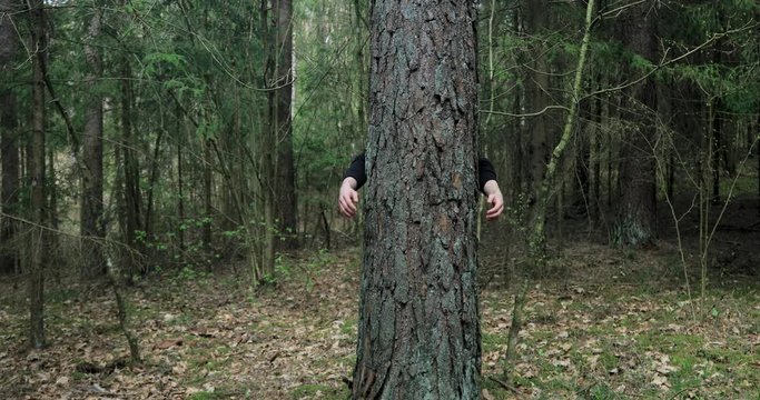 man hands huggin the tree
