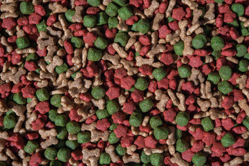 Dry dog food textured background.