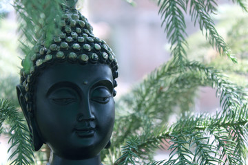 antique buddha god in nature