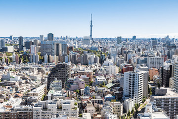 Obraz premium Tokyo skyline with Sky Tree Tower, Bunkyo Ward, Tokyo, Japan