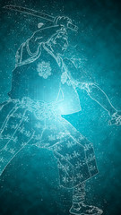 浮世絵　宮本武蔵　その2　クリスタルバージョン