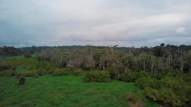 Aerial view of Loango National Park in Gabon