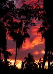 Breathtaking tropical sunset playing on the clouds
