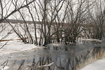 river flooding in spring, flooded coastline