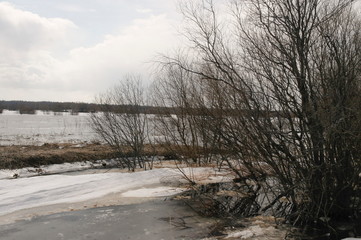 river flooding in spring, flooded coastline
