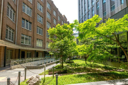 118 Best 文部科学省 Images Stock Photos Vectors Adobe Stock