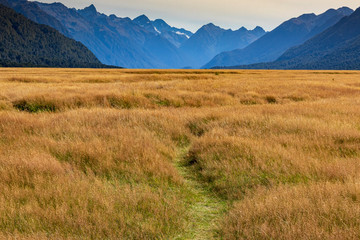 Fototapeta premium Landscape at Eglinton valley in New Zealand. South Island.