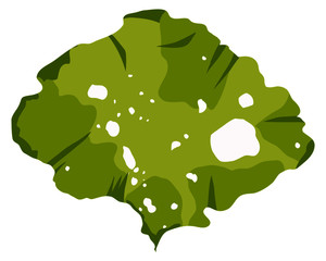 This is a green algae in the sea.