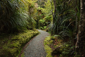 Dune Lake Walk at Ship Creek in Mount Aspiring National Park,West Coast on South Island of New Zealand
