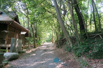 鳩峰八幡神社
