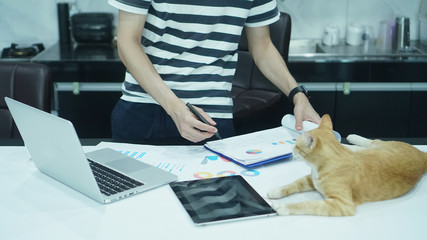 work form home in living room. self-quarantine staying safe.Coronavirus, quarantine isolation.The young man is working in at his house and his cat. copy space. selective focus.