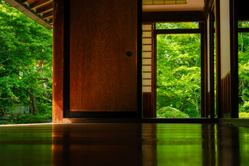 京都のお寺「源光庵」の新緑