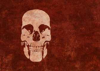 Textured human skull