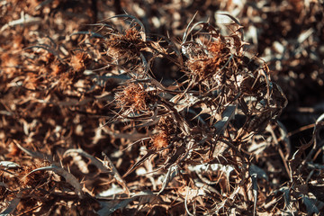 Beautiful village in a mountain valley near the lake. Mountains landscape and old town. Travel - Dagestan