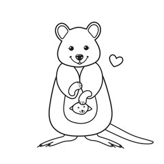 Coloring page with a quokka, Australian animal. 
