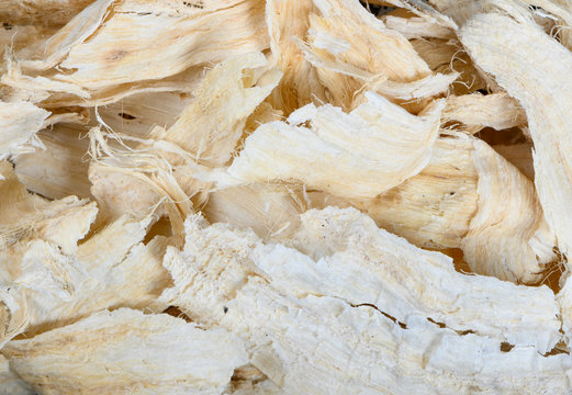 Pueraria mirifica