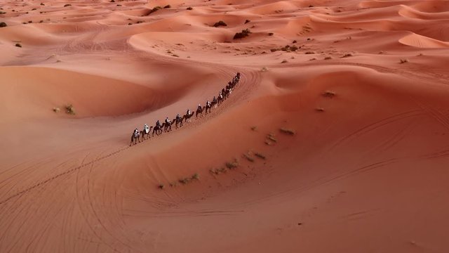 Ariel drone of camel ride trail in desert during sunset at sahara desert, slow motion drone.