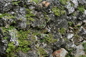 Old grey rocks with grass and moss