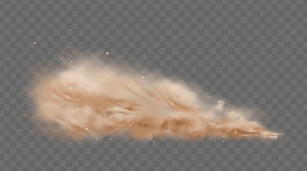 Road dust cloud with flying stones and particles isolated on transparent background. A cloud of dust sand flying from under the wheels of a fast-moving car or motorcycle. Realistic vector illustration - obrazy, fototapety, plakaty