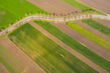 Curvy road and empty agricultural fields in spring. 